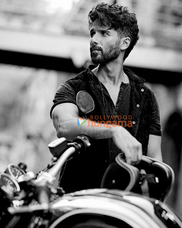 shahid kapoor 3 51