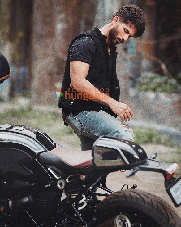 shahid kapoor 4 39