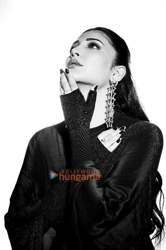 shruti haasan 3 21