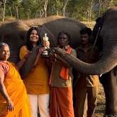 Bomman backtracks on allegations of exploitation against The Elephant Whisperers' director