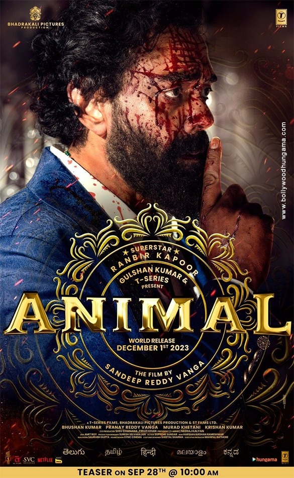 animal 13