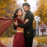 New Show Alert! Colors brings together Vishal Aditya Singh and Kanika Mann in a romantic fairytale titled Chand Jalne Laga