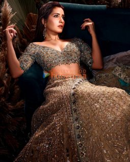 Celeb Photos Of Raashi Khanna