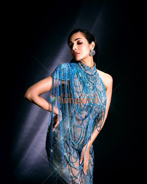 malaika arora 4 162