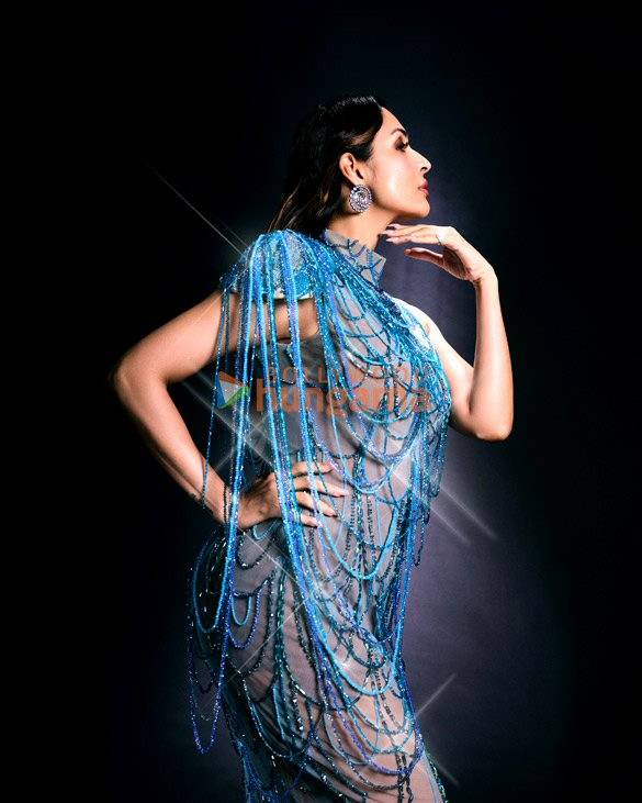 malaika arora 5 111