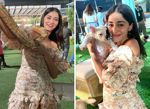 Ananya Panday enjoys her "Definition of heaven" with snakes and puppies at Isha Ambani twins' bash; see pics