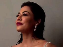 Chitrangda Singh shimmers in a silver diamond embedded gown for a photoshoot