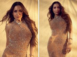 Malaika Arora’s stunning embellished gown worth Rs. 2.27 lakh is perfect for your next cocktail party