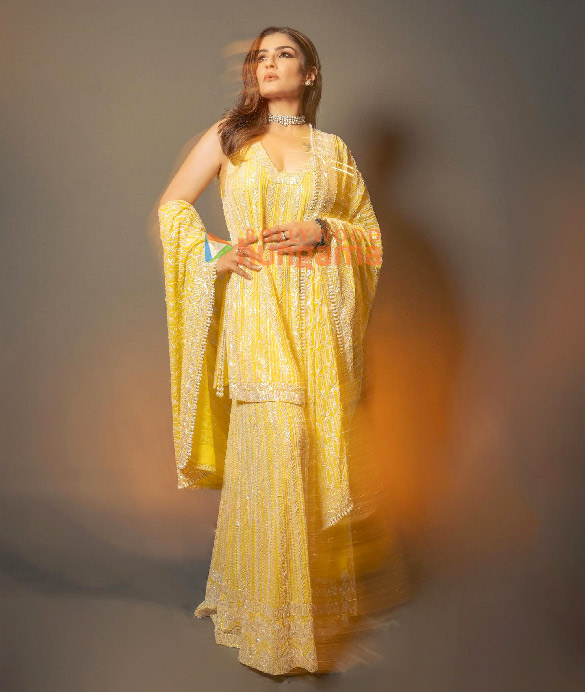 raveena tandon 4 40