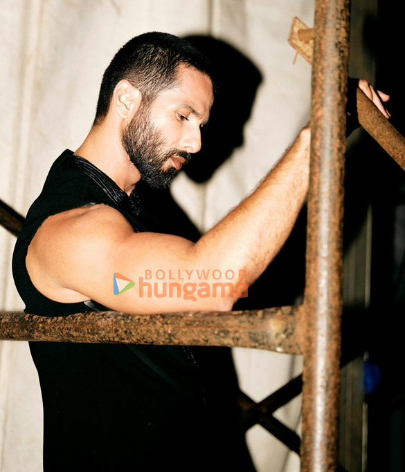 shahid kapoor 1 71