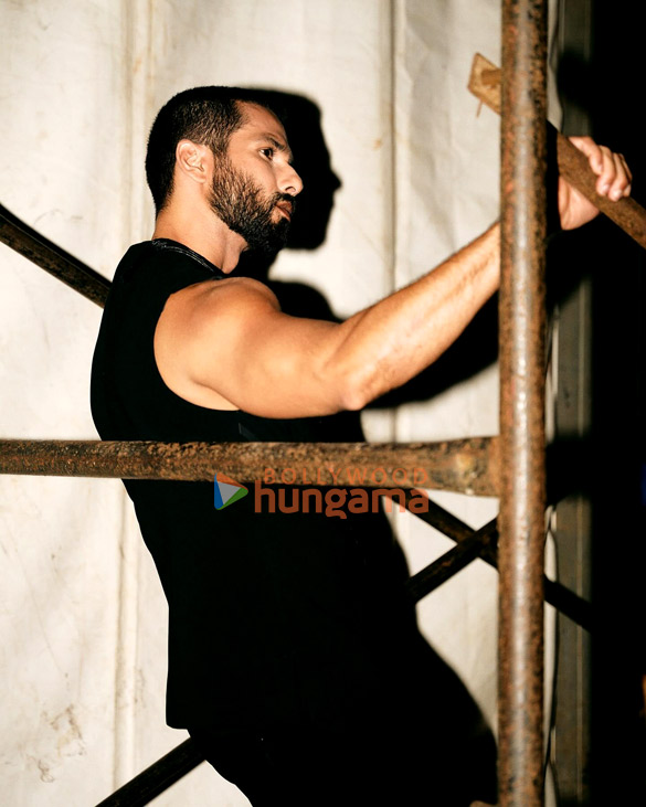 shahid kapoor 2 71
