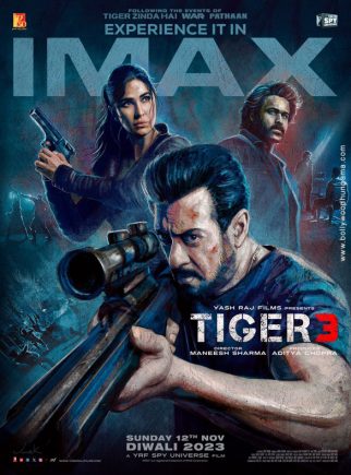Tiger 3 poster