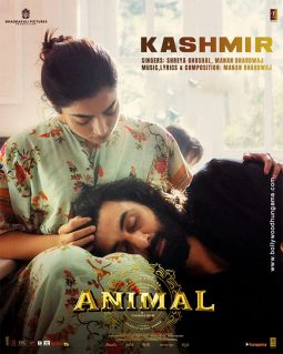 Animal
