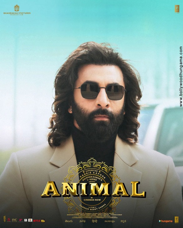animal 33