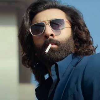 Animal Box Office: Top Bollywood Grossers – Adults only certified films: Ranbir Kapoor starrer Animal dethrones Kabir Singh; claims the no. 1 spot