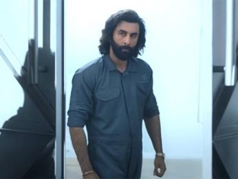 Animal Box Office Estimate Day 3: Ranbir Kapoor movie collects Rs. 75 crores on Sunday; scores Rs. 205 crores in 3 days Animal Box Office Estimate Day 3: Ranbir Kapoor movie collects Rs. 75 crores on Sunday; scores Rs. 205 crores in 3 days