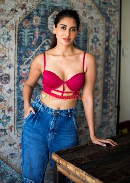 Celeb Photos Of Nikita Dutta