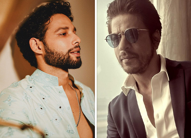 Siddhant Chaturvedi recalls partying at Shah Rukh Khan’s home Mannat till 4.30 AM; says, “He asked us to join him” 