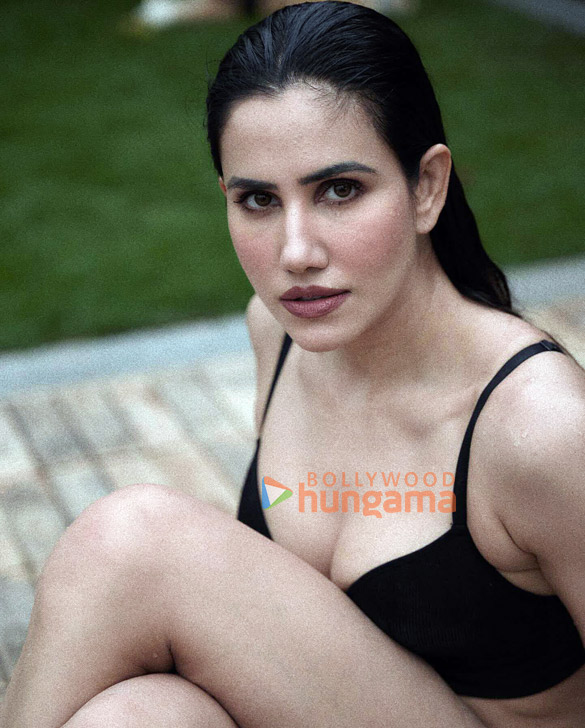 sonnalli seygall 3 31