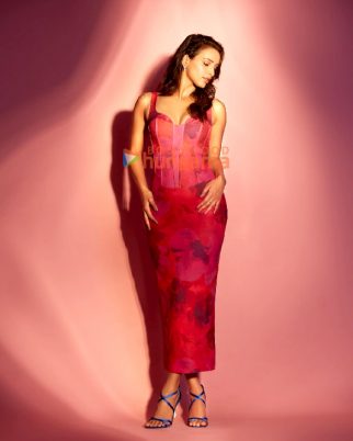 Tripti Dimri