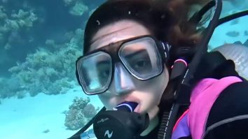 All about Sonakshi Sinha’s dive in the Red Sea!!!