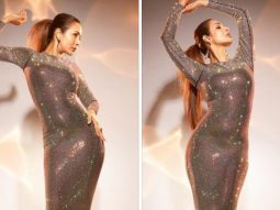 Malaika Arora sets the glamour quotient soaring in a glitzy bodycon gown
