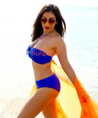 Celeb Photos Of Sophie Choudry