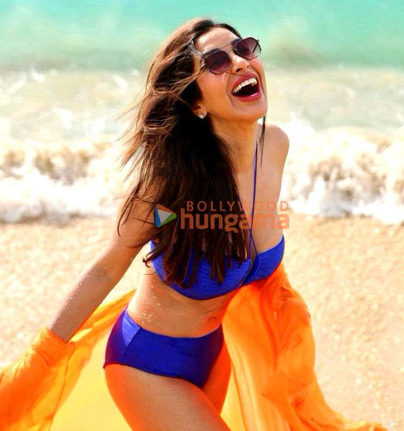 sophie choudry 3 87