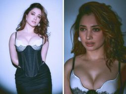 Tamannaah Bhatia slays the style game in a chic black corset top and skirt at the Animal Success Party