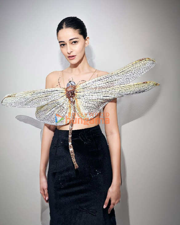ananya panday 1 290