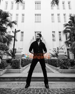 Shahid Kapoor