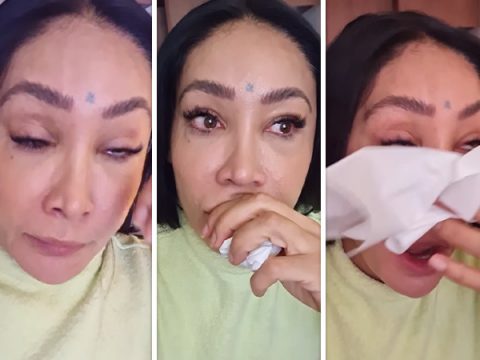 Sofia Hayat, Filmography, Movies, Sofia Hayat News, Videos, Songs