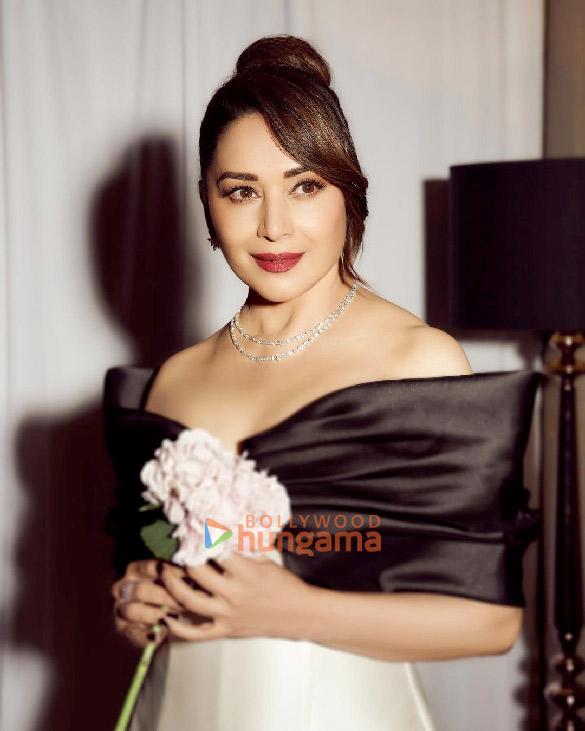 madhuri dixit 3 56
