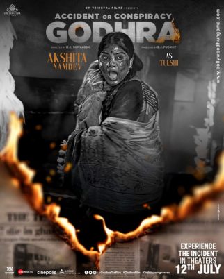 Accident or Conspiracy: Godhra poster