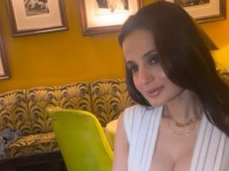 Ameesha Patel raises the bar for hotness with her look