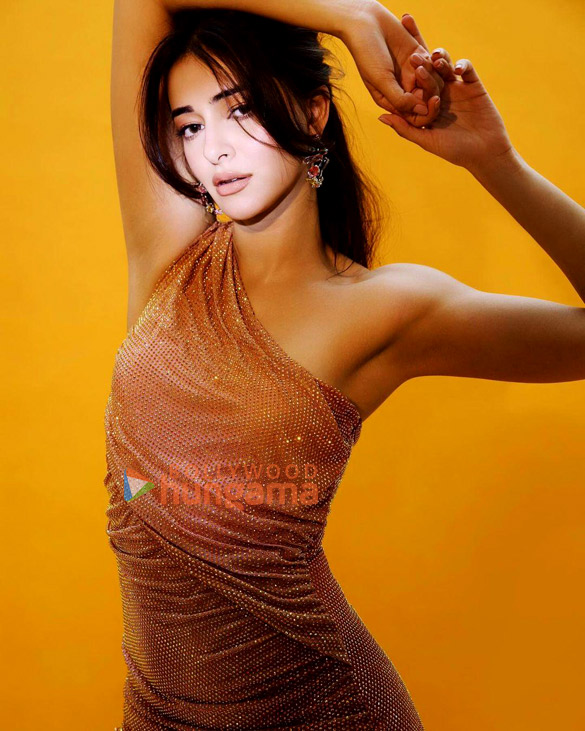 ananya panday 3 264