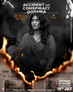 Accident or Conspiracy Godhra poster