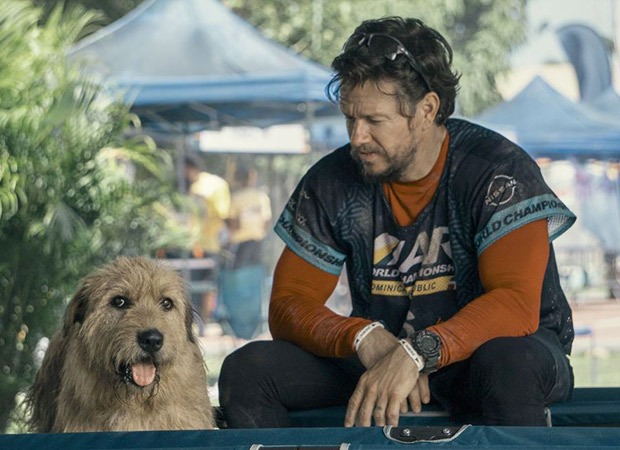 Arthur The King almost shut down due to Mark Wahlberg's on-set injury: "I didn’t want to be the reason for the movie falling apart"