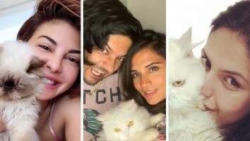 International Cat Day 2024: Jacqueline Fernandez, Richa Chadha and other Bollywood actresses who’re proud cat moms