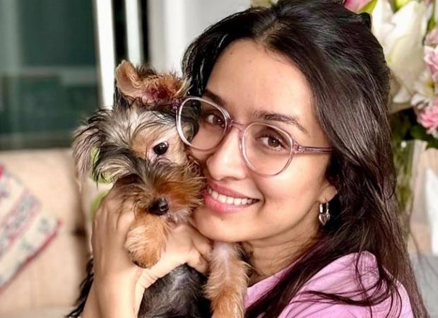 Amid Stree 2’s success run, Shraddha Kapoor welcomes new pet Small, shares adorable pics of new family member 2 : Bollywood News