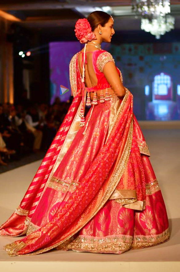 photos kartik aaryan triptii dimri and others turn showstoppers at the manish malhotra fashion show 3