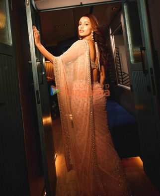 Celeb Photos Of Triptii Dimri