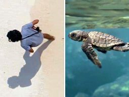 Tiger Baby and Emaho Films partner with Oscar-Winning studio for Taira Malaney’s documentary Turtle Walker