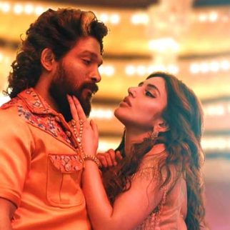 EXCLUSIVE: No 3D version of Allu Arjun's Pushpa 2 - The Rule in the second week as well