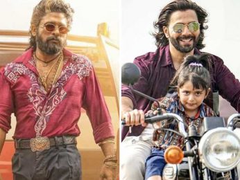 Pushpa 2: The Rule fans forced to watch Baby John at Jaipur cinema on Allu Arjun-starrer’s ticket