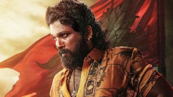 Pushpa 2 - The Rule poster