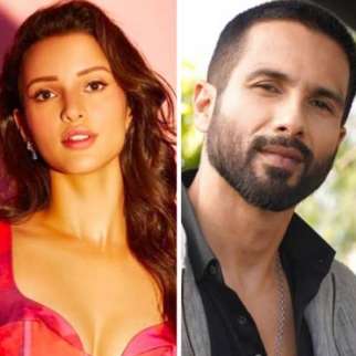 Triptii Dimri cast opposite Shahid Kapoor in Vishal Bhardwaj’s Arjun Ustara, to begin filming in January 2025