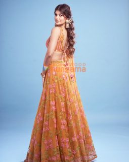 Anjini Dhawan