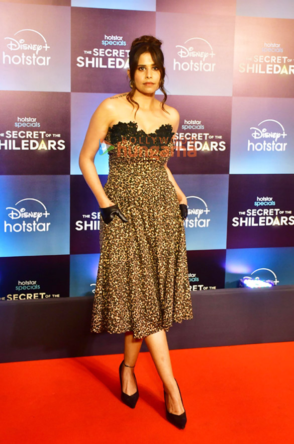 photos aahana kumra rajeev khandelwal sai tamhankar and others grace the premiere of the secrets of the shiledars 10