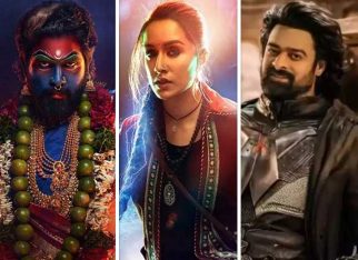 Box Office blues: India’s 2024 collections drop to Rs. 11,833 cr despite Pushpa 2 and Stree 2’s blockbuster success